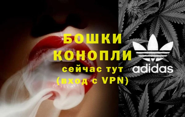 амф Арсеньев