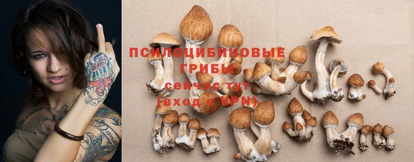 дурь Аркадак