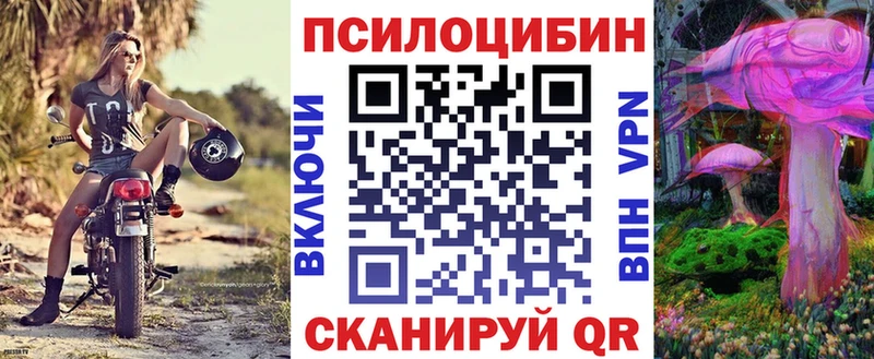 Купить где  Сольцы  Псилоцибиновые грибы ЛСД 